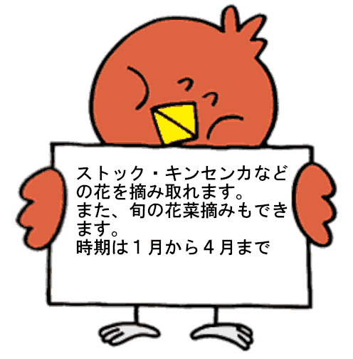 花摘み案内