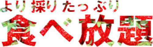 より採りたっぷり食べ放題